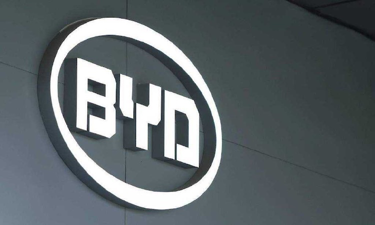 Brazilian court issues preliminary injunction against BYD